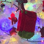 Schöne Socken hingen heute morgen an meinem Weihnachtsbaum